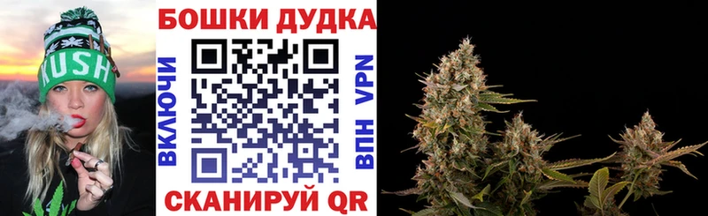 Канабис индика Чаплыгин