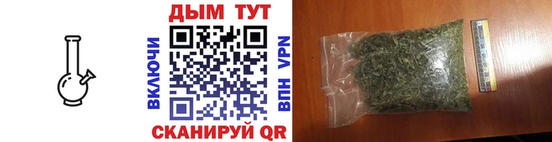 Конопля SATIVA & INDICA купить наркотики цена Чаплыгин